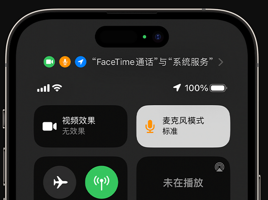 沧州苹果授权维修网点分享iPhone在通话时让你的声音更清晰 