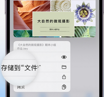 沧州apple维修中心分享iPhone文件应用中存储和找到下载文件