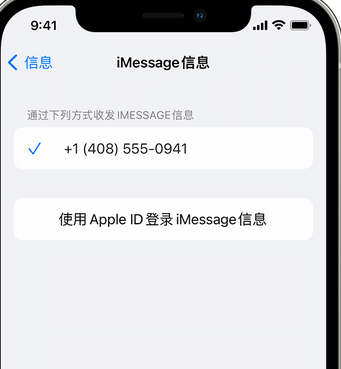 沧州apple维修iPhone上无法正常发送iMessage信息 