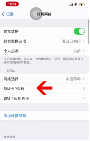 沧州苹果14维修网分享如何给iPhone14的SIM卡设置密码 