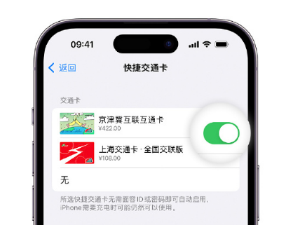 沧州apple维修点分享iPhone上更换Apple Pay快捷交通卡手绘卡面 