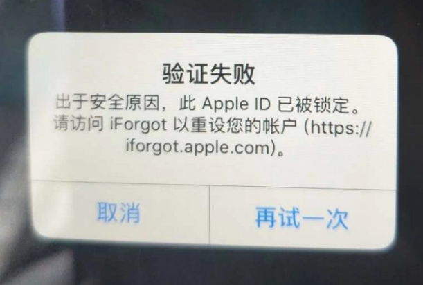 沧州iPhone维修分享iPhone上正常登录或使用AppleID怎么办 