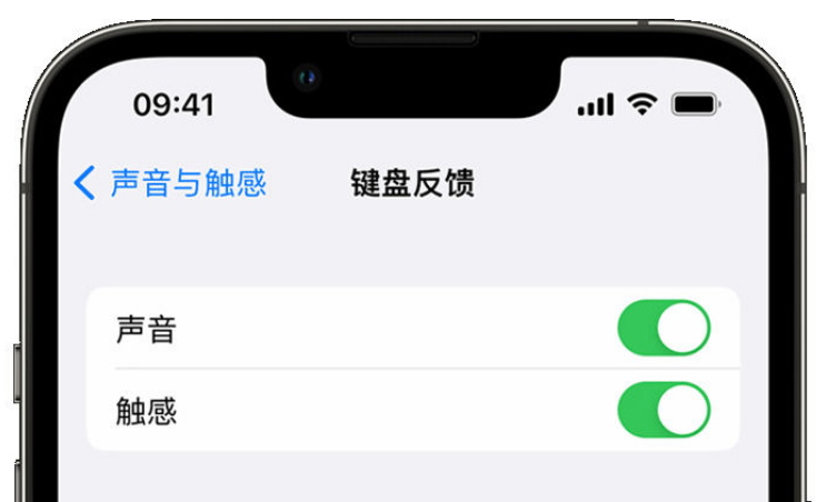 沧州苹果手机维修分享iPhone 14触感键盘使用方法 