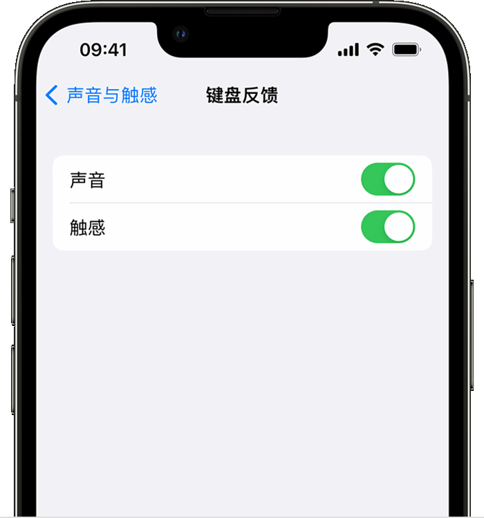 沧州苹果14维修店分享如何在 iPhone 14 机型中使用触感键盘 