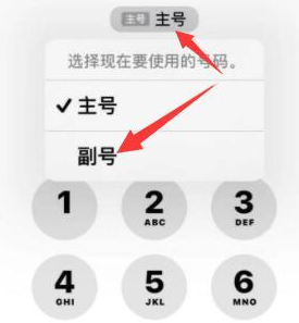 沧州苹果14维修店分享iPhone 14 Pro Max使用副卡打电话的方法 