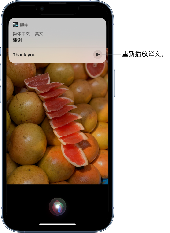 沧州苹果14维修分享 iPhone 14 机型中使用 Siri：了解 Siri 能帮你做什么 