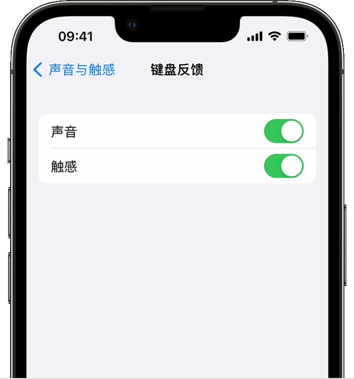 沧州苹果14维修分享iPhone 14 系列机型如何开启键盘声音或触感反馈 
