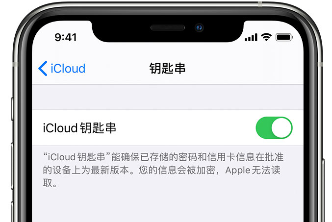 沧州苹果手机维修分享在 iPhone 上开启 iCloud 钥匙串之后会储存哪些信息 