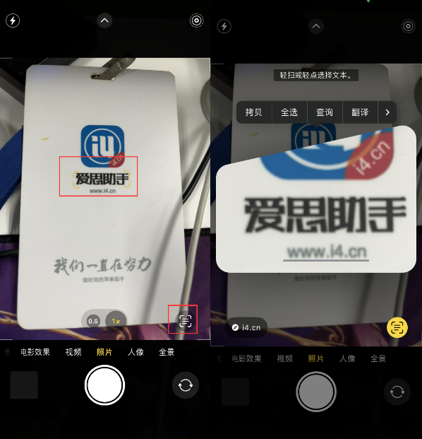 沧州苹果手机维修分享升级iOS 16后如何通过相机翻译文本 