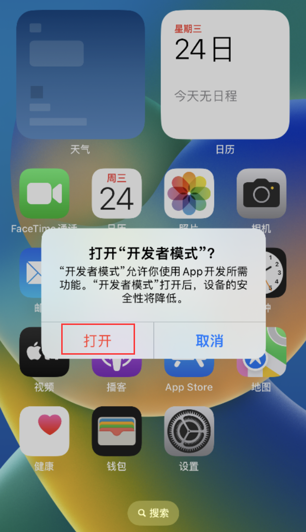 沧州苹果手机维修分享如何打开开发者模式 