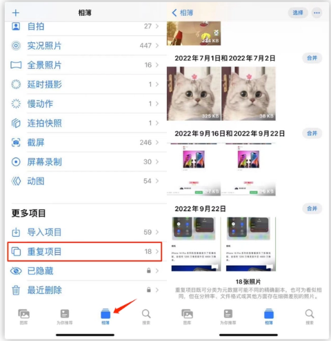 沧州苹果手机维修分享iOS 16 中相册重复项目功能使用方法 