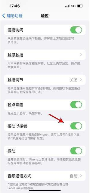 沧州苹果手机维修分享iPhone手机如何设置摇一摇删除文字 