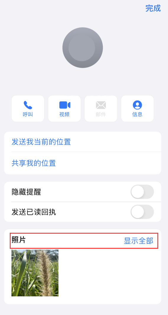 沧州苹果手机维修分享如何快速查找 iMessage 信息中的图片等附件 
