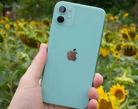 沧州苹果维修点分享iPhone 11锁屏密码认知与使用科普 