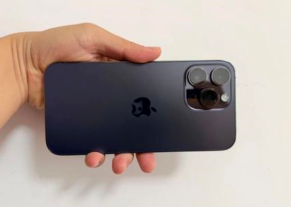 沧州苹果维修点分享iPhone 14 Pro Max黑屏少见故障盘点 